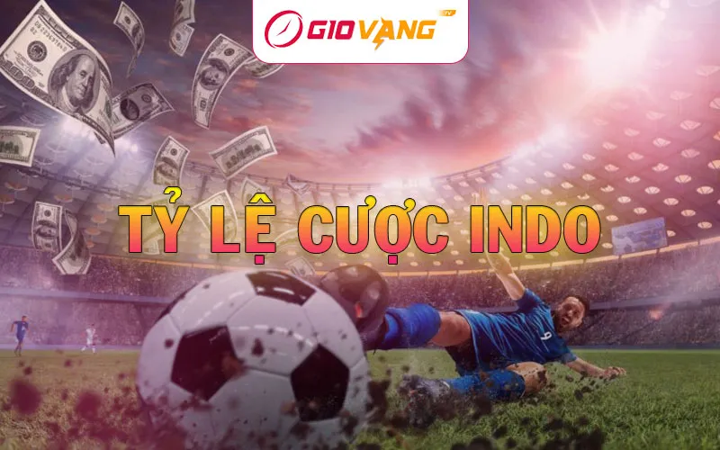 Tỷ Lệ Cược Indo Là Gì? Cách Tính Tiền Cá Độ Theo Odds Indo