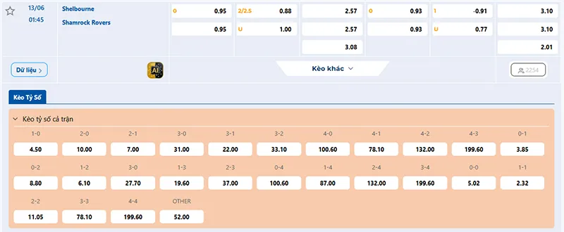 Thông tin tỷ lệ kèo Shelbourne vs Shamrock Rovers 02h00 ngày 13/6/2026